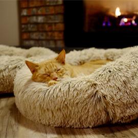 couch bazaar